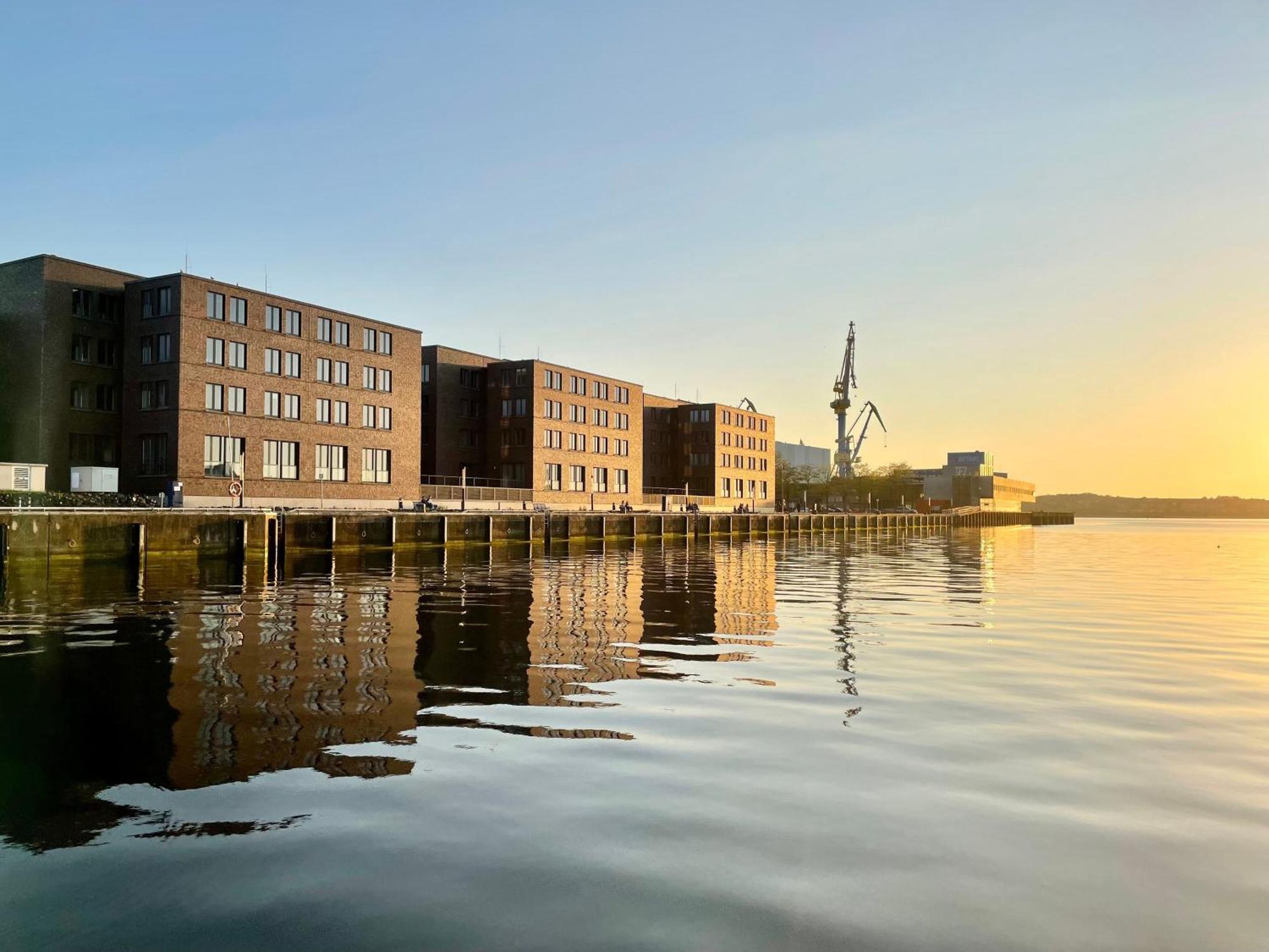 Schmetterling Wismar